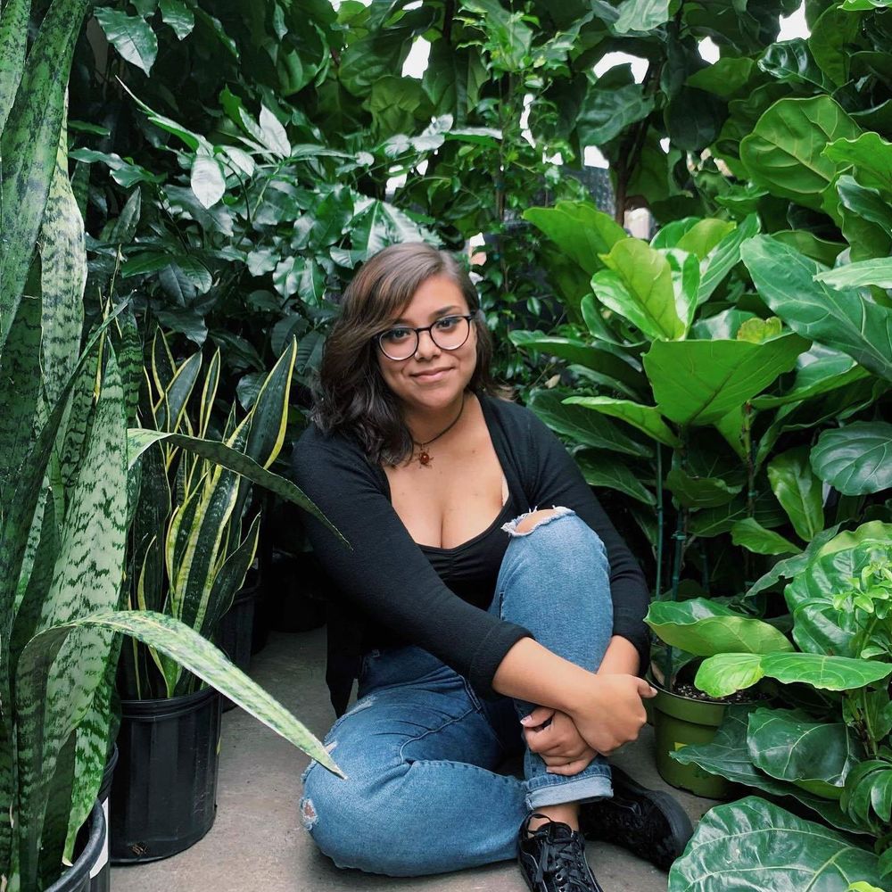 Meet your Posher, Johana
